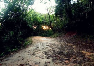 parque-dos-bufalos-614x433